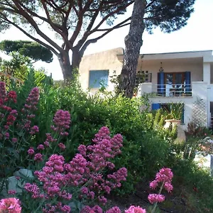  Appartement Coeur Sur Mer France